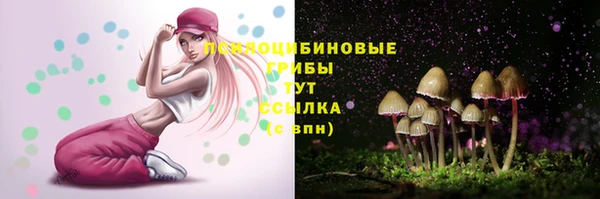 скорость Ельня