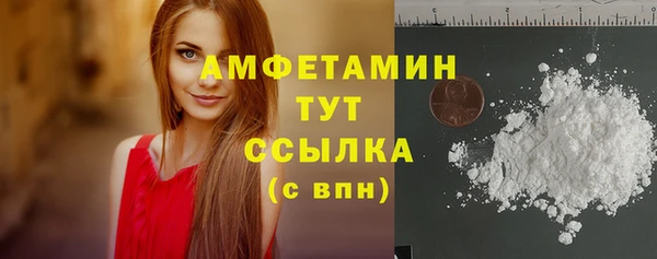 скорость Ельня