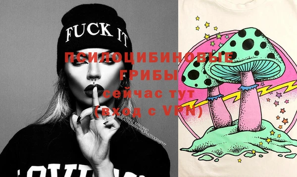 сатива Елизово