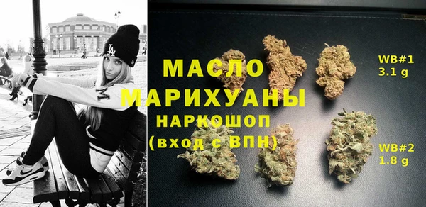 скорость Ельня