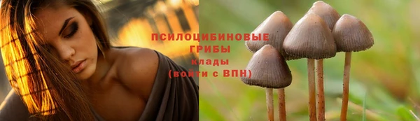 твердый Заволжье