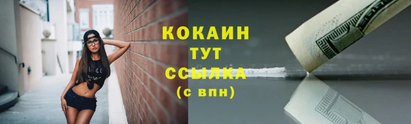 сатива Елизово