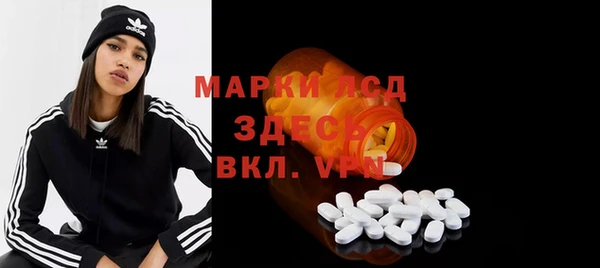 сатива Елизово