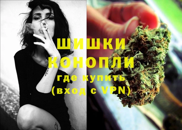 сатива Елизово