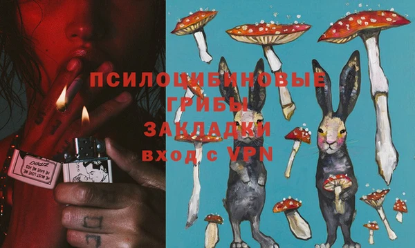 МДПВ Заводоуковск