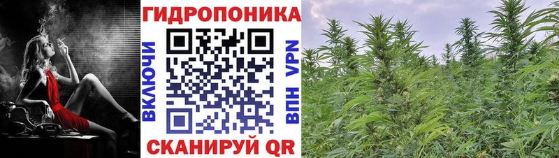 Купить  Красный Холм  МАРИХУАНА OG Kush 